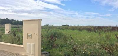 Terrain et maison à Melun en Seine-et-Marne (77) de 89 m² à vendre au prix de 345375€ - 3