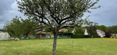 Terrain et maison à Marolles-en-Brie en Val-de-Marne (94) de 120 m² à vendre au prix de 350000€ - 3