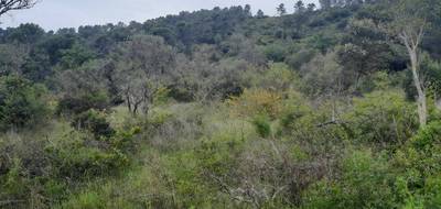 Terrain et maison à Camps-la-Source en Var (83) de 83 m² à vendre au prix de 337000€ - 4