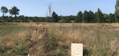 Terrain et maison à Notre-Dame-de-Riez en Vendée (85) de 81 m² à vendre au prix de 234000€ - 2