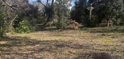 Terrain à La Roque-d'Anthéron en Bouches-du-Rhône (13) de 800 m² à vendre au prix de 189890€ - 1