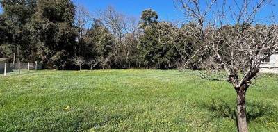 Terrain et maison à Biard en Vienne (86) de 73 m² à vendre au prix de 178933€ - 4