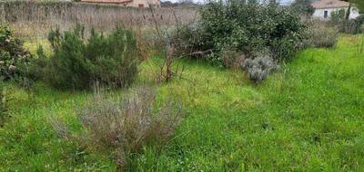 Terrain et maison à Brignoles en Var (83) de 82 m² à vendre au prix de 312000€ - 4