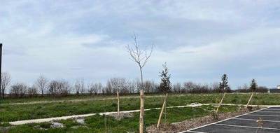 Terrain à Segonzac en Charente (16) de 783 m² à vendre au prix de 43065€ - 1