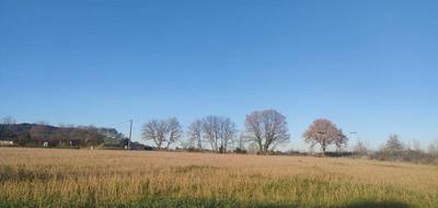 Terrain et maison à Ribaute-les-Tavernes en Gard (30) de 80 m² à vendre au prix de 193100€ - 3