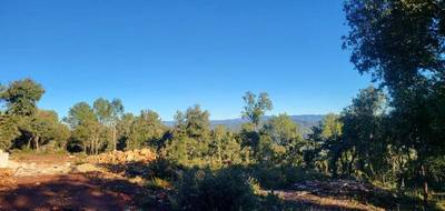 Terrain et maison à Le Thoronet en Var (83) de 110 m² à vendre au prix de 440000€ - 4