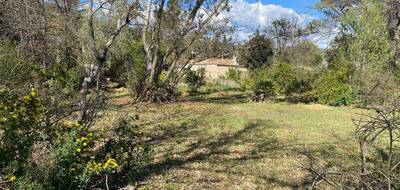 Terrain et maison à Garéoult en Var (83) de 83 m² à vendre au prix de 295000€ - 3