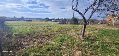 Terrain et maison à Sémalens en Tarn (81) de 145 m² à vendre au prix de 303387€ - 4