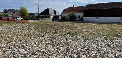 Terrain et maison à Bantzenheim en Haut-Rhin (68) de 116 m² à vendre au prix de 515000€ - 4