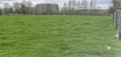 Terrain et maison à Orchies en Nord (59) de 93 m² à vendre au prix de 255200€ - 3