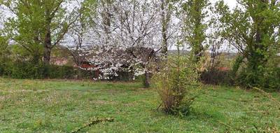 Terrain à Lévignac en Haute-Garonne (31) de 905 m² à vendre au prix de 145000€ - 1