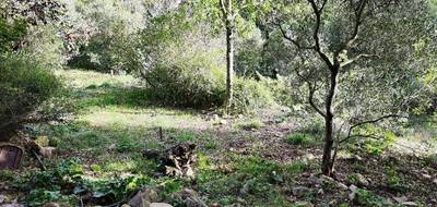 Terrain et maison à Rocbaron en Var (83) de 100 m² à vendre au prix de 390000€ - 3