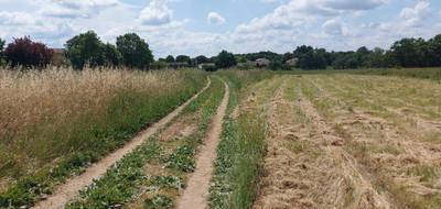 Terrain et maison à Savères en Haute-Garonne (31) de 166 m² à vendre au prix de 365000€ - 4