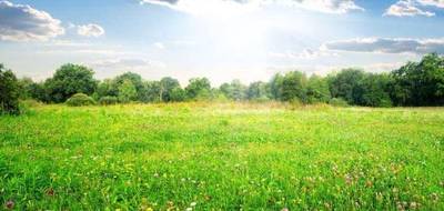 Terrain et maison à Saint-Gervais en Vendée (85) de 105 m² à vendre au prix de 261820€ - 4
