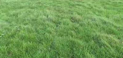 Terrain et maison à Villeblevin en Yonne (89) de 90 m² à vendre au prix de 215000€ - 3