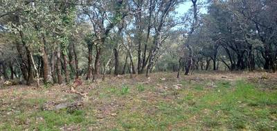 Terrain à Sainte-Anastasie-sur-Issole en Var (83) de 2700 m² à vendre au prix de 156000€ - 3