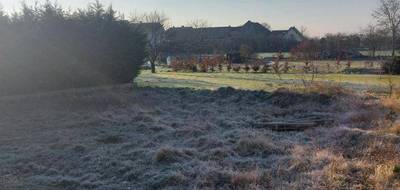 Terrain et maison à Hettenschlag en Haut-Rhin (68) de 110 m² à vendre au prix de 368000€ - 3