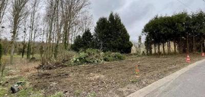 Terrain et maison à Berville en Val-d'Oise (95) de 112 m² à vendre au prix de 383000€ - 3