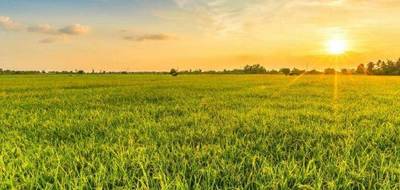 Terrain et maison à Vairé en Vendée (85) de 90 m² à vendre au prix de 230444€ - 3