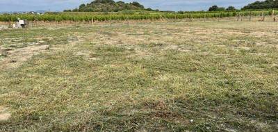 Terrain à Gignac en Hérault (34) de 500 m² à vendre au prix de 125000€ - 2
