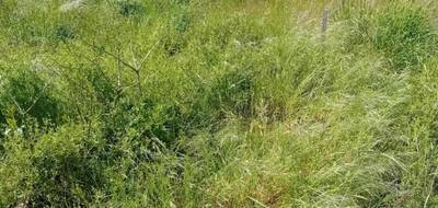 Terrain à Villandraut en Gironde (33) de 982 m² à vendre au prix de 78000€ - 2