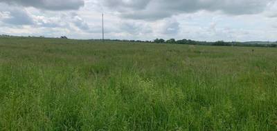 Terrain à Distroff en Moselle (57) de 461 m² à vendre au prix de 135000€ - 3
