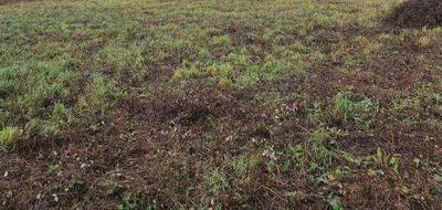 Terrain et maison à Saint-Viaud en Loire-Atlantique (44) de 65 m² à vendre au prix de 209661€ - 4