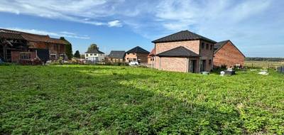 Terrain et maison à Mons-en-Pévèle en Nord (59) de 124 m² à vendre au prix de 379000€ - 3
