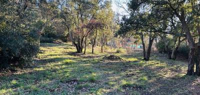 Terrain à Vidauban en Var (83) de 863 m² à vendre au prix de 149000€ - 3