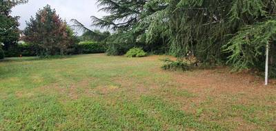 Terrain à Cadillac-en-Fronsadais en Gironde (33) de 810 m² à vendre au prix de 85000€ - 1
