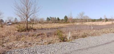 Terrain à Mios en Gironde (33) de 600 m² à vendre au prix de 182000€ - 1