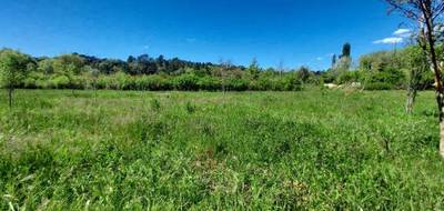 Terrain à Tourves en Var (83) de 570 m² à vendre au prix de 131000€ - 3