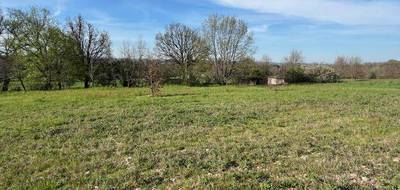 Terrain et maison à Graulhet en Tarn (81) de 125 m² à vendre au prix de 237000€ - 4