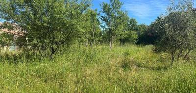 Terrain et maison à La Farlède en Var (83) de 85 m² à vendre au prix de 389000€ - 3