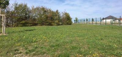 Terrain et maison à Avord en Cher (18) de 100 m² à vendre au prix de 172751€ - 3