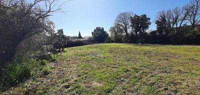Terrain à Puget-sur-Argens en Var (83) de 1055 m² à vendre au prix de 270000€ - 2