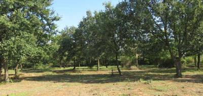 Terrain et maison à Montignargues en Gard (30) de 110 m² à vendre au prix de 299000€ - 4
