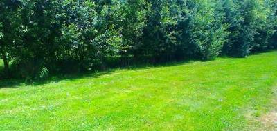 Terrain et maison à Gretz-Armainvilliers en Seine-et-Marne (77) de 89 m² à vendre au prix de 380000€ - 3