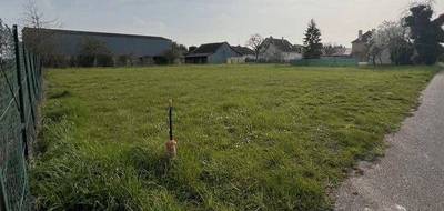 Terrain et maison à Démuin en Somme (80) de 73 m² à vendre au prix de 163732€ - 3