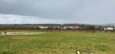 Terrain à Lattre-Saint-Quentin en Pas-de-Calais (62) de 1040 m² à vendre au prix de 78000€ - 2
