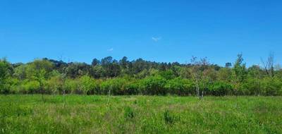 Terrain à Tourves en Var (83) de 1000 m² à vendre au prix de 142000€ - 3