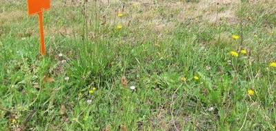 Terrain et maison à Vairé en Vendée (85) de 90 m² à vendre au prix de 302699€ - 4
