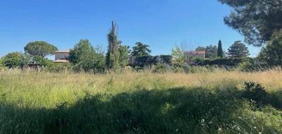 Terrain à Pélissanne en Bouches-du-Rhône (13) de 856 m² à vendre au prix de 300000€ - 2