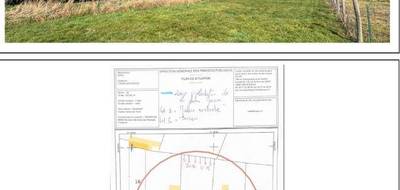 Terrain à Flines-lez-Raches en Nord (59) de 968 m² à vendre au prix de 79900€ - 1