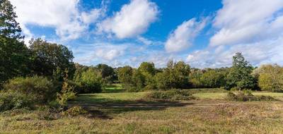 Terrain et maison à Saint-Avertin en Indre-et-Loire (37) de 120 m² à vendre au prix de 457000€ - 3