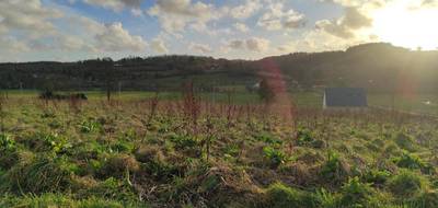 Terrain et maison à Le Mesnil-Guillaume en Calvados (14) de 118 m² à vendre au prix de 241500€ - 4
