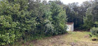 Terrain à Saint-Georges-d'Oléron en Charente-Maritime (17) de 817 m² à vendre au prix de 196800€ - 3