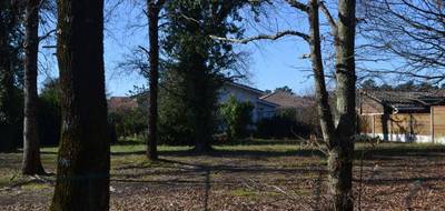 Terrain à Biganos en Gironde (33) de 776 m² à vendre au prix de 235000€ - 1