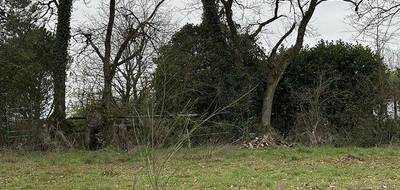 Terrain et maison à Fontenay-le-Comte en Vendée (85) de 122 m² à vendre au prix de 284292€ - 4