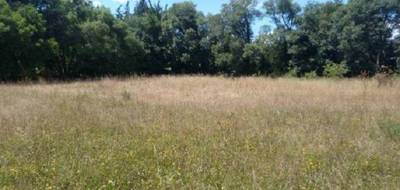 Terrain et maison à Istres en Bouches-du-Rhône (13) de 95 m² à vendre au prix de 371500€ - 4